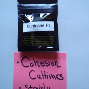 Slurricane F1 original release - Archive seeds