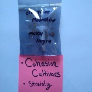 Old Time Moonshine-Mosca Negra seeds