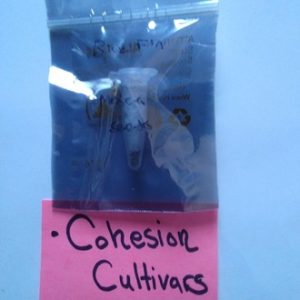Blue Fin- Mosca Seeds