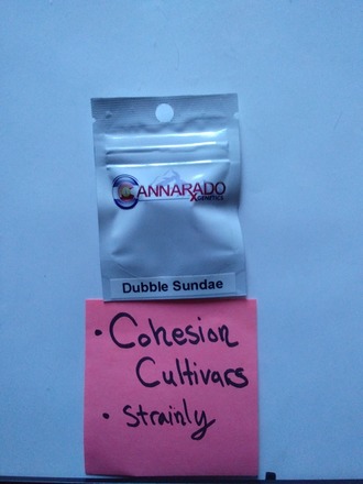 Dubble Sundae Cannarado Genetics