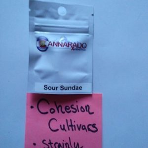 Sour Sundae Cannarado genetics