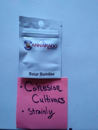 Sour Sundae Cannarado genetics
