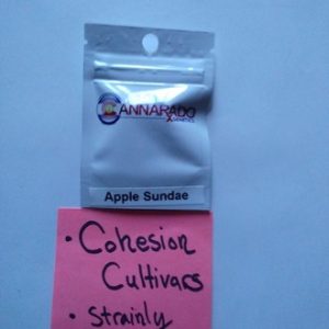 Cannarado Apple sundae