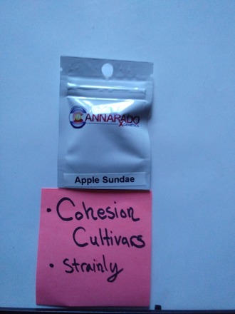 Cannarado Apple sundae