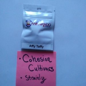 Affy Taffy Cannarado Genetics