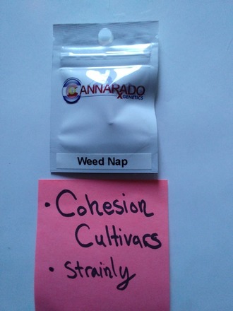 Cannarado we.ed nap