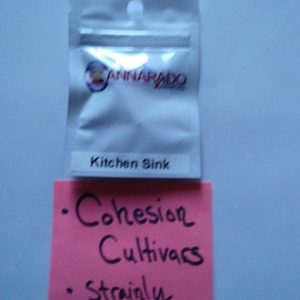 Kitchen Sink Cannarado Genetics