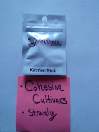 Kitchen Sink Cannarado Genetics