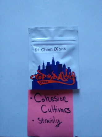 91 chem IX vintage sealed Top Dawg Seeds