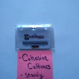 Tk91 x SweatbandOG- Cannarado Genetics