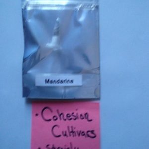 Original Mandarina trichome jungle seeds sealed