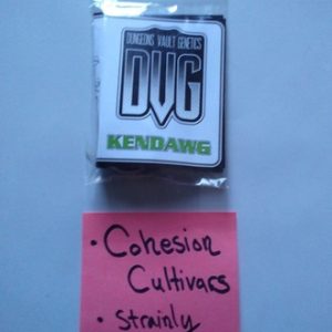 Kendawg- Dungeon vault genetics