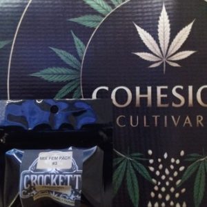 FEM MIX PACK #3 35-50 SEEDS CROCKETT FAMILY FARMS