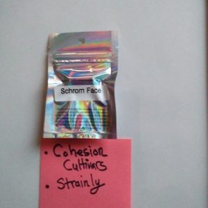 Schrom face-Archive seed bank