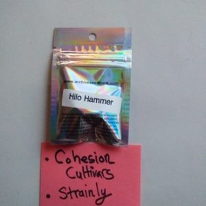 Hilo Hammer Archive Seeds